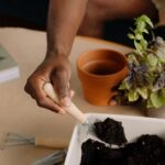 How to Start a Small Herb Garden Indoors for Fresh Flavor Year-Round